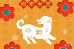 Will a Dog Man Remarry After Divorce? Why Does a Dog Man Work So Hard After Divorce