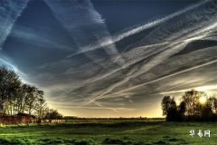 Is it good for a female Rat and a male Snake to work together in business? Is it favorable if the woman is 5 years older than the man?