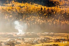 大耳朵的人命運怎麼樣:面相學中的耳朵與命運解析