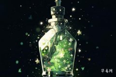 Is Aquarius the King of the Zodiac? Unveiling Aquarius's Unique Charm and Intellectual Power