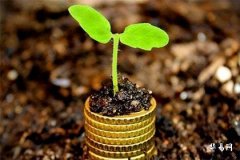 水星獅子笨嗎,水星哪個星座容易出學霸