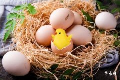 93年屬雞劍鋒金命女孩:晚婚趨勢與個人特質解析