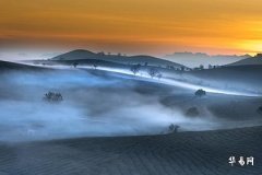 火星獅子女喜歡的類型,火星獅子女的另一半特點