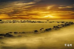 83屬豬男人最佳妻子,屬豬人兩段孽緣是什麼