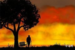 屬蛇1977年出生是什麼命,屬蛇1977出生終身幸運數字