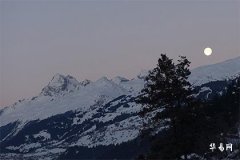 What Do Hour Pillar, Month Pillar, and Year Pillar Mean? What Do They Represent in Fate