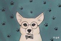 屬狗命中貴人出現時間預測