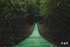 探尋塔羅牌女皇正位愛情之美好享受