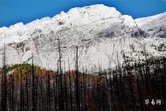 Characteristics of Women with Retrograde Major Luck Cycles