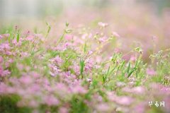 左眼跳測吉凶大全-亥時左眼皮跳預兆分析