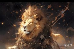 Which zodiac woman does the Leo man most want to marry? Who is his ultimate choice?