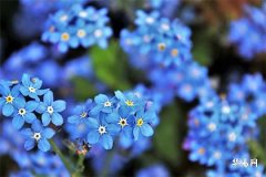 屬龍男孩出生的四個最佳時辰,龍最命苦三個時辰