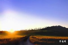 83年屬豬五行屬什麼命,什麼最旺大海水命的人