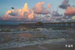 丙火生於巳月富貴八字,事業財運一帆風順