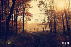 1991年屬羊是什麼命,91年屬羊缺水還是缺火