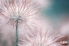 風水夫妻床能給外人睡嗎?風水上如何化解