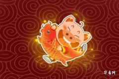 1971年屬豬的最佳配偶是誰,豬最忌諱的三個屬相