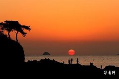 客廳風水大忌假花_假花放在臥室有什麼忌諱