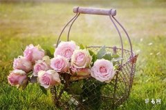 Is a marriage where the female Rabbit is three years older than the male Horse suitable?_87 Rabbit man and 90 Horse woman marriage