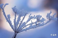 夫妻睡的床有哪些忌諱,影響感情的十大風水宜忌