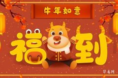 85年牛海中金能佩戴金飾嗎:五行調和與飾品選擇