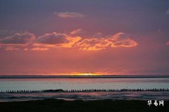 Is it good to be born in the second half of the year for those born in the Year of the Sheep? Which time of day brings great wealth and prosperity for those born in the Year of the