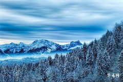 Are female dragons and male snakes one year apart compatible? The destined husband for women born in the Year of the Dragon