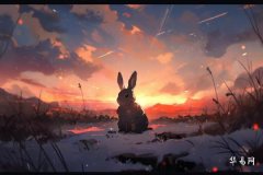 屬兔不吃兔什麼意思