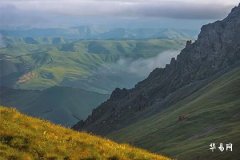 Female命 with Extremely Weak Day Master and Injury Officer, What is Female命 with Injury Officer and Seal