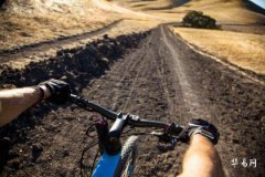 Is Wu Earth strong or weak when born in the Chou month? In which month is Wu Earth weak?