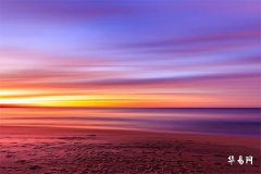 出林之兔是什麼意思,出林之兔和山林之兔誰命好