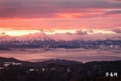 屬兔女大屬蛇男兩歲成婚好嗎_蛇盤兔越過越富