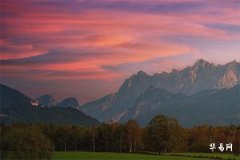 Can a Female Snake and a Male Rooster Get Married? Compatibility Taboos for Women Born in the Year of the Snake