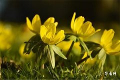 額頭有川字紋的男人命運怎麼樣