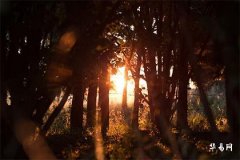 閏四月:農曆中的月序調整與天文週期