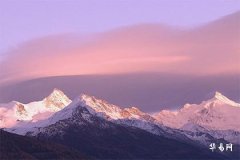 What Does It Mean When a Woman's Life Has伤官 Rooted and Penetrating the Stem