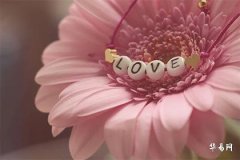 1995年屬豬五行屬什麼,屬豬1995山頭火命詳解