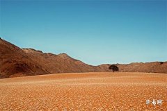 正緣已經在身邊的徵兆,抓住幸福的機會