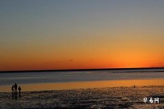 屬虎女離婚率高嗎_屬虎女人的感情弱點