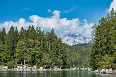 Can a Female Rabbit Last a Lifetime with a Male Rabbit? Which Birth Month Makes a Rabbit Woman Most Fortunate for Her Husband