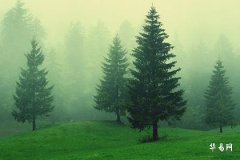 年柱父母時柱子女什麼意思 年柱和時柱代表什麼