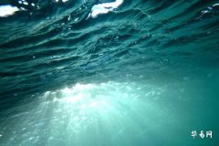 91年屬馬還是屬羊,屬羊跟誰一起最有錢