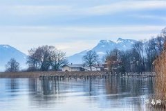 Little Tiger Born After Cold Dew_ Which Months Should People Born in the Year of the Tiger Avoid