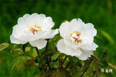 手機號帶8好不好,吉利號碼的特徵