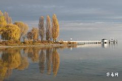 手小的女人命運怎麼樣:性格、健康與財富解析