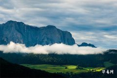 1967年屬羊男:一生命運解析與展望