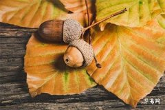 水瓶座體內封印著什麼超能力?揭祕十大非凡特質