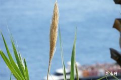 閏六月是兩個六月嗎?揭祕農曆獨特現象