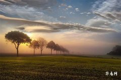 屬虎男生和屬馬女生配對