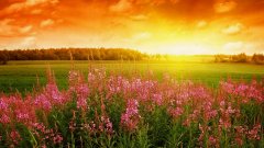 1995年有閏月嗎？是閏幾月？